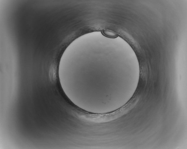 X0000100910023200807221000