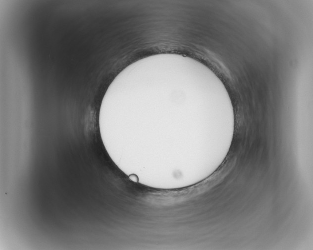X0000100910025200807221000