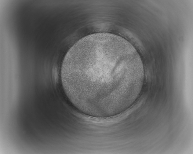 X0000100910026200807221000