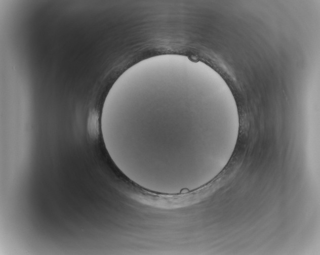 X0000100910027200807221000