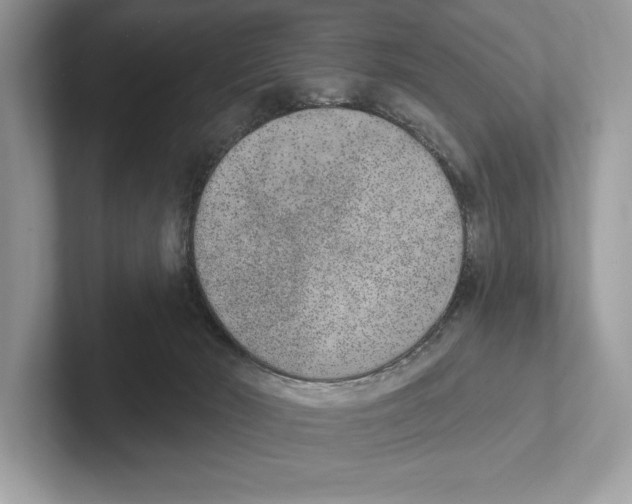 X0000100910030200807221000