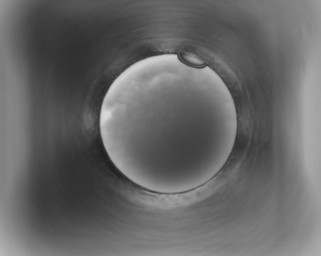X0000100910031200807221000