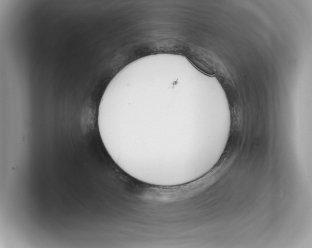 X0000100910033200807221000