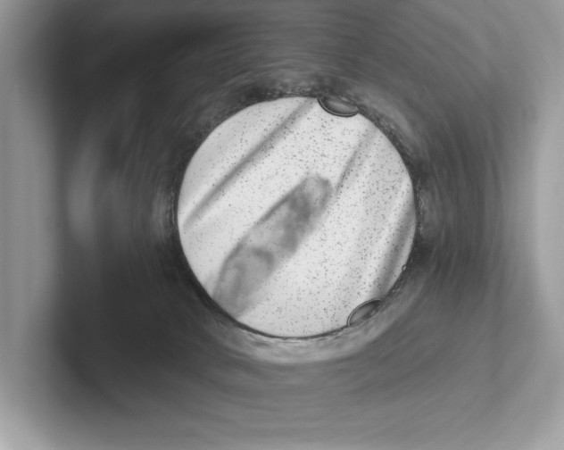 X0000100910034200807221000