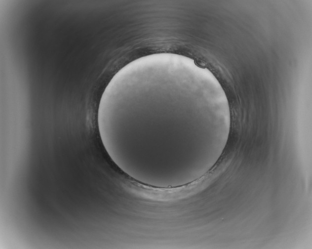 X0000100910035200807221000