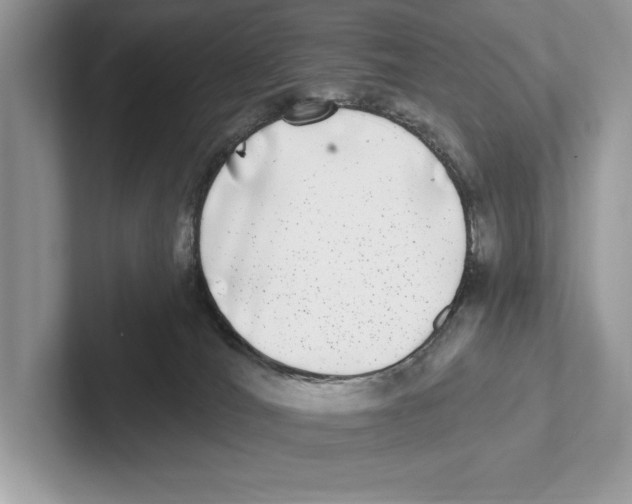 X0000100910036200807221000