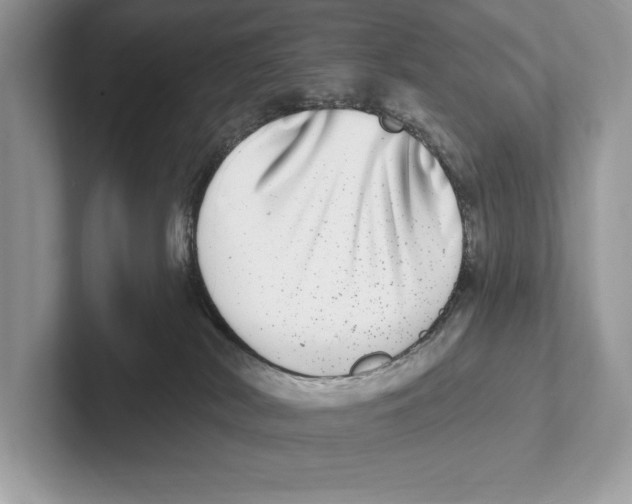 X0000100910038200807221000