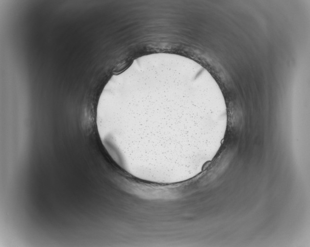 X0000100910040200807221000