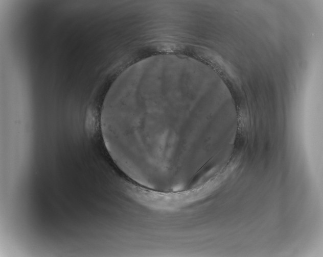 X0000100910043200807221000