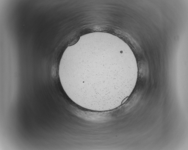 X0000100910044200807221000