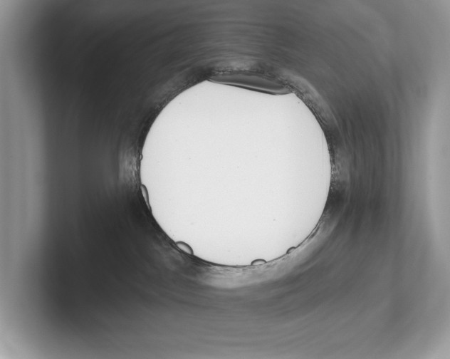 X0000100910045200807221000