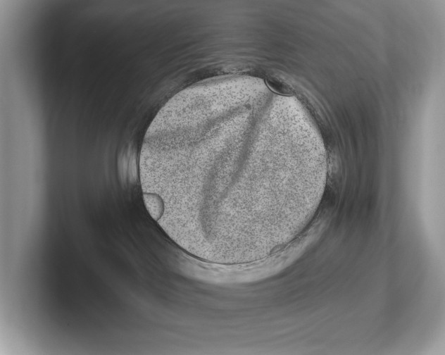 X0000100910046200807221000