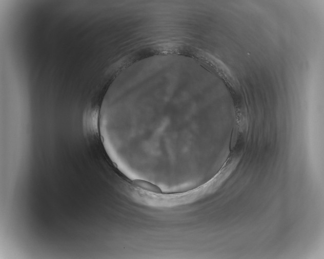 X0000100910047200807221000