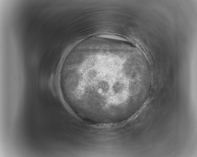 X0000100910049200807220959