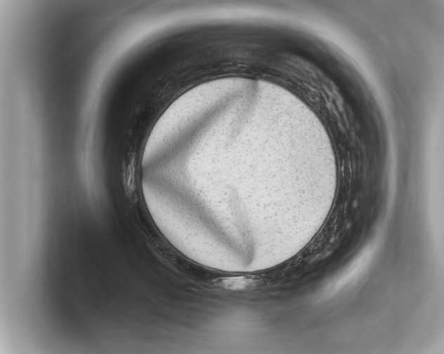 X0000100910050200807220959