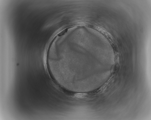 X0000100910051200807220959