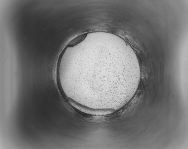 X0000100910052200807220959