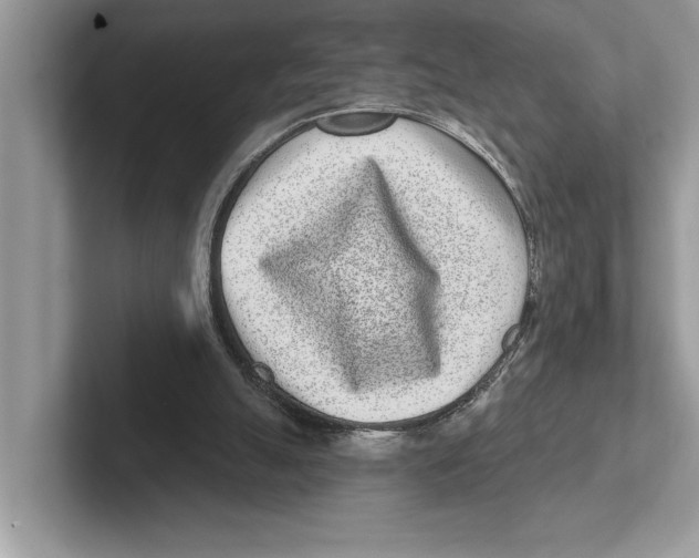 X0000100910055200807220959