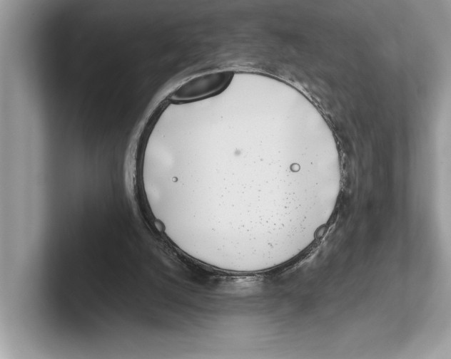 X0000100910056200807220959