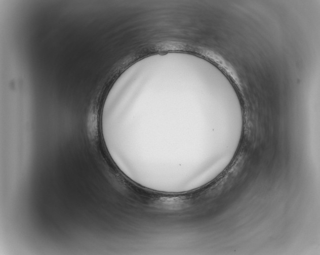 X0000100910057200807220959
