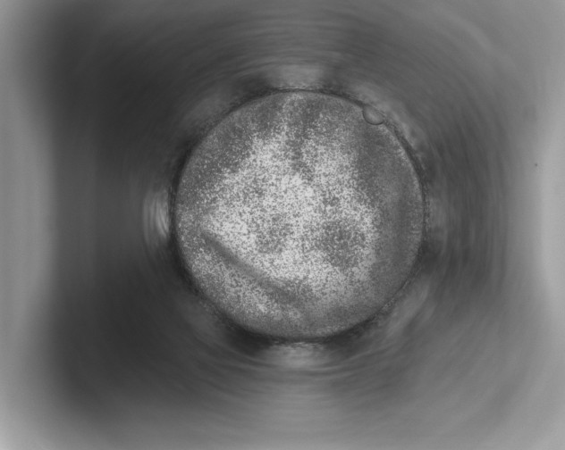 X0000100910069200807220959