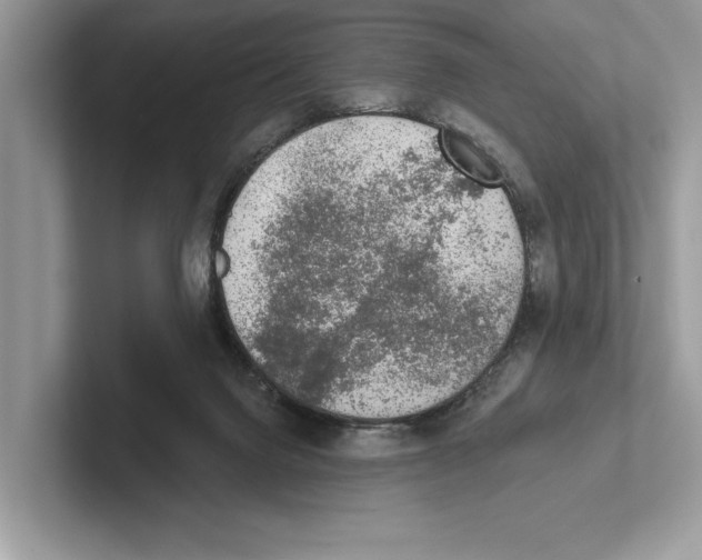 X0000100910072200807220959