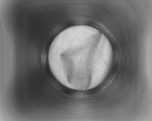 X0000100910076200807220959