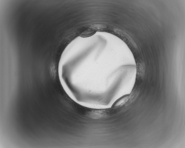 X0000100910086200807220959
