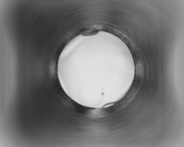 X0000100910092200807220959