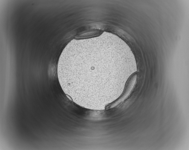 X0000100910096200807220959