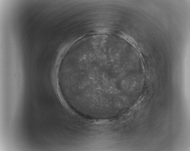 X0000100910097200807220959