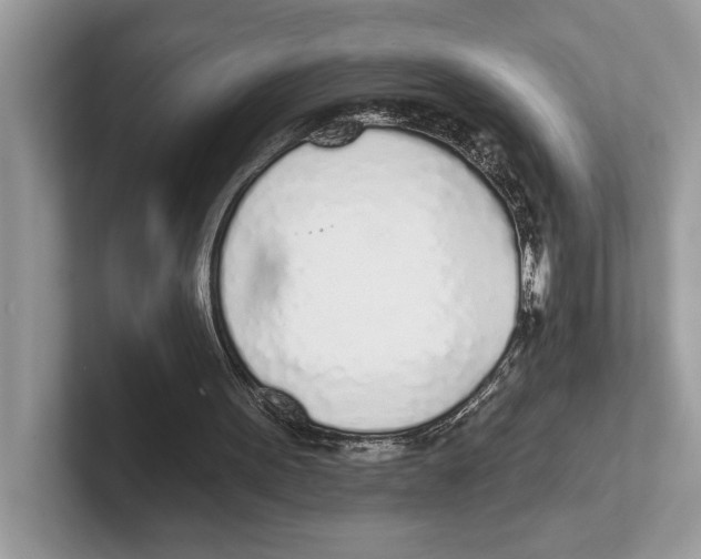 X0000100910099200807220959