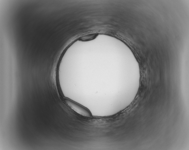 X0000100910100200807220959