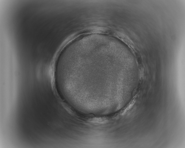 X0000100910101200807220959