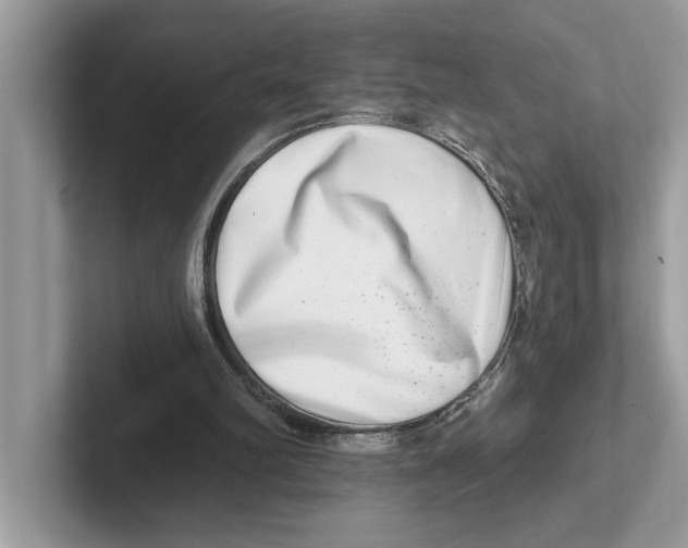 X0000100910102200807220959