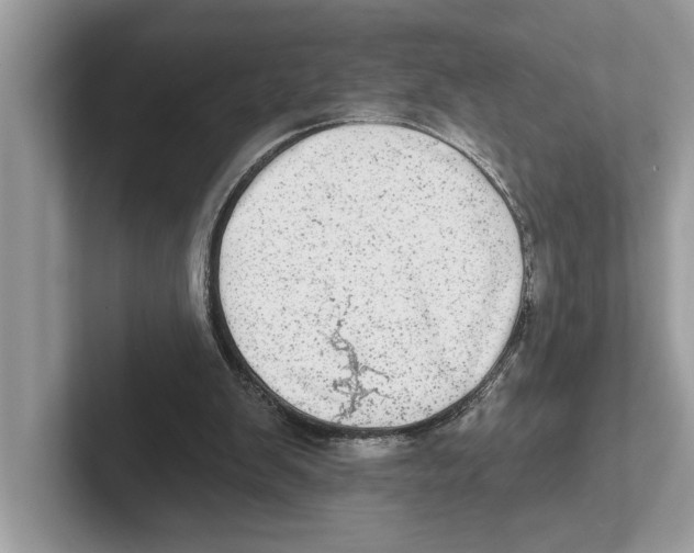 X0000100910103200807220959