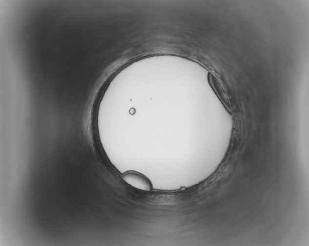 X0000100910104200807220959