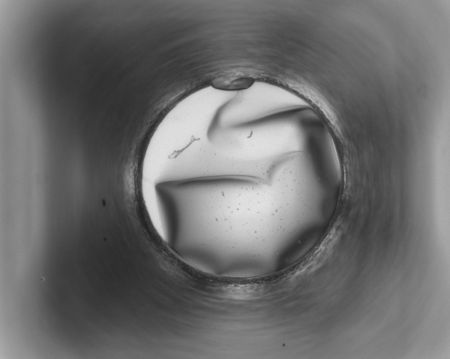 X0000100910105200807220959
