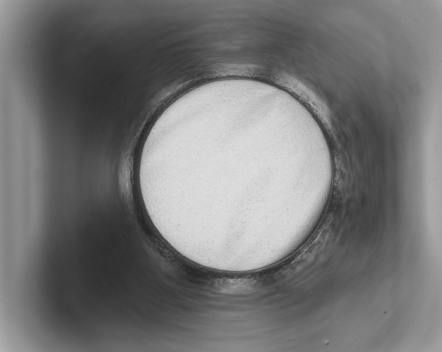 X0000100910107200807220959