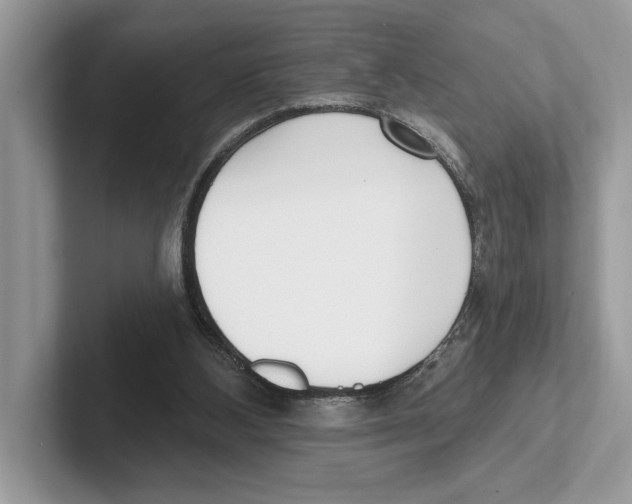 X0000100910108200807220959