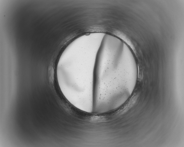 X0000100910109200807220959