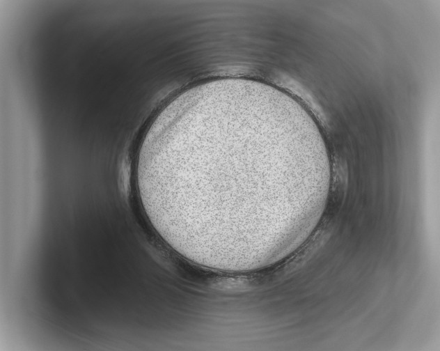 X0000100910110200807220959
