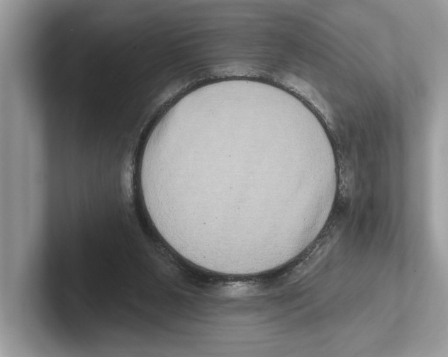 X0000100910111200807220959