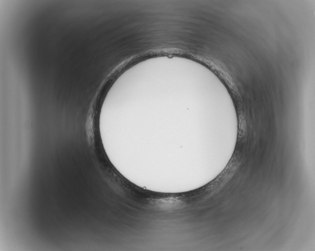 X0000100910112200807220959