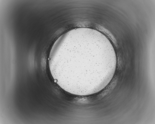 X0000100910113200807220959