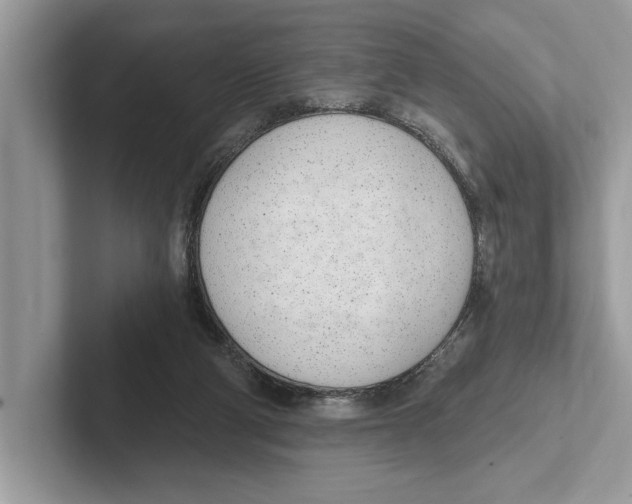 X0000100910114200807220959