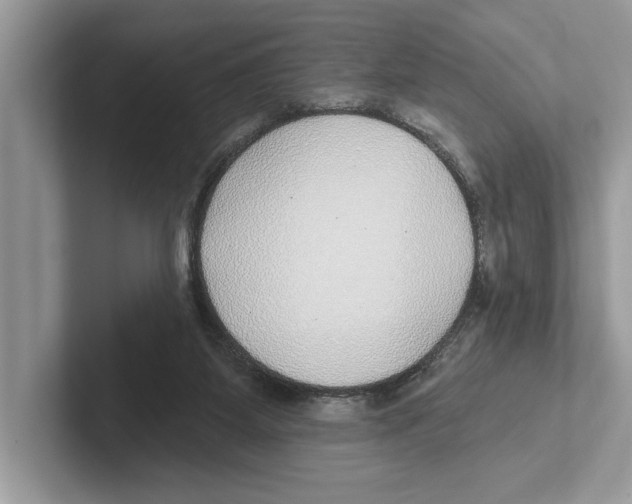 X0000100910115200807220959