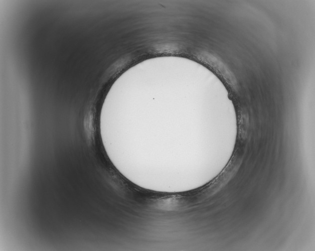 X0000100910116200807220959