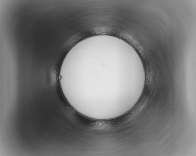 X0000100910117200807220959