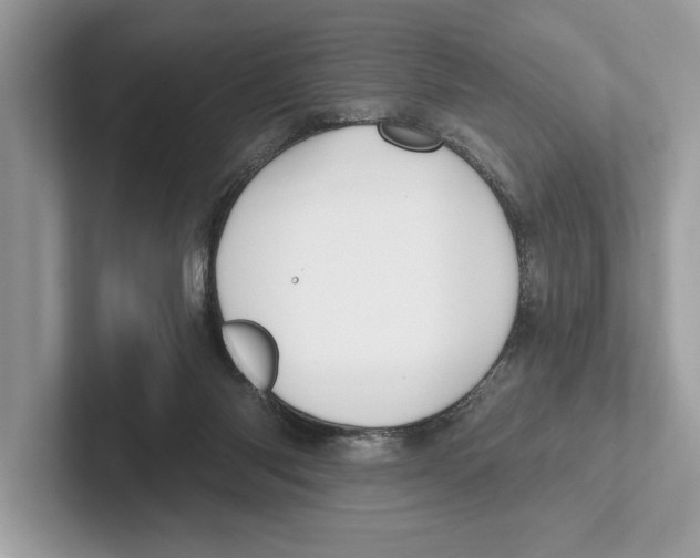 X0000100910118200807220958